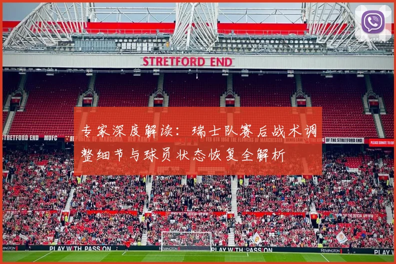 专家深度解读：瑞士队赛后战术调整细节与球员状态恢复全解析